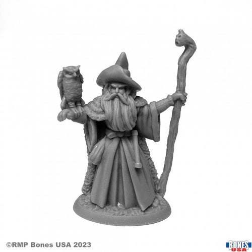 Reaper Bones USA: Amathor the Arch-Mage