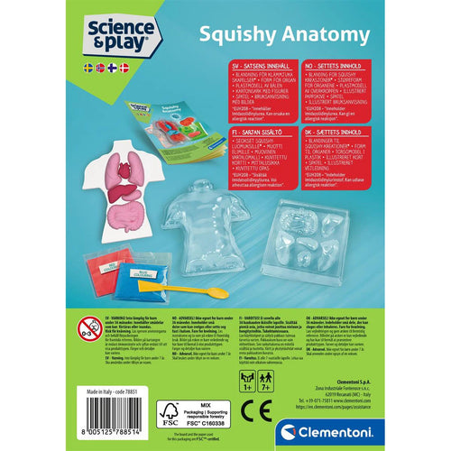 Science and Play - Mini Squishy Organs