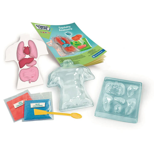 Science and Play - Mini Squishy Organs