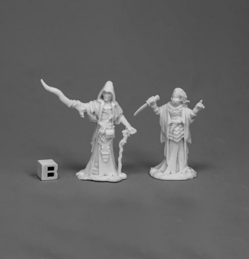 Reaper Bones: Cultist Priests (2 stk)