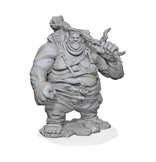 Nolzur's Marvelous Miniatures - Hill Giant