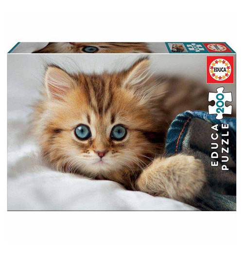 Educa: Kitten - 200 (Puslespil)