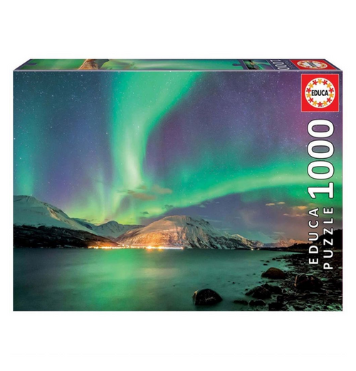 Educa: Northern Lights - 1000 (Puslespil)