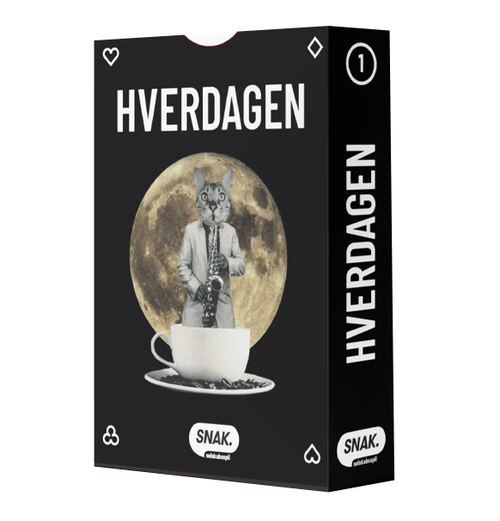 HVERDAGEN - Samtalespil fra SNAK
