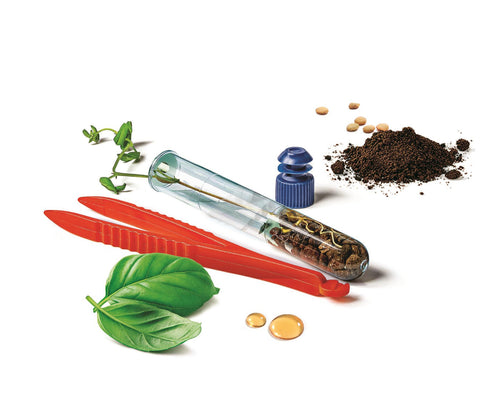 Science and Play - My Hi-Tech Greenhouse