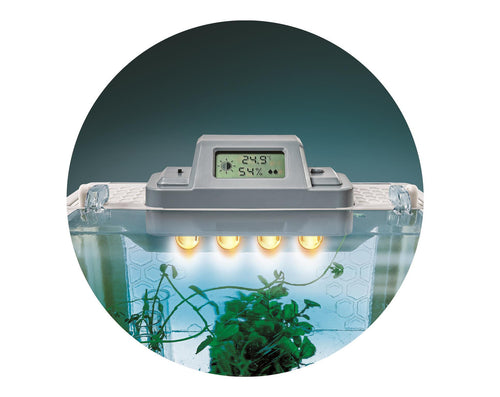 Science and Play - My Hi-Tech Greenhouse