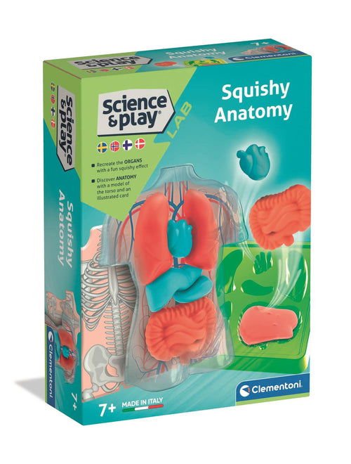 Science and Play - Mini Squishy Organs