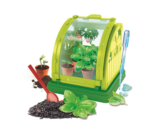 Science and Play - Mini Vegetable Garden