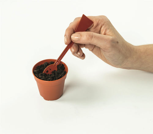 Science and Play - Mini Vegetable Garden