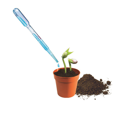 Science and Play - Mini Vegetable Garden