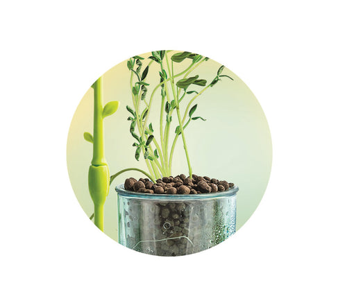 Science and Play - Mini Vegetable Garden