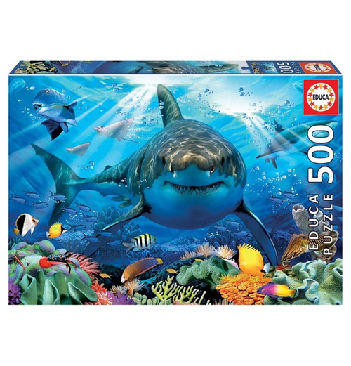 Educa: Great White Shark - 500 (Puslespil)