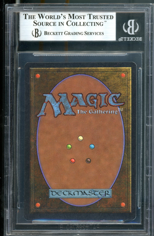 Dandan BGS 9Q+ [Arabian Nights]