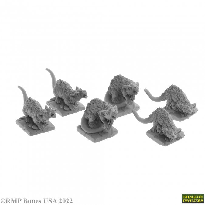 Reaper Legends: Giant Tomb Rats 6 stk.