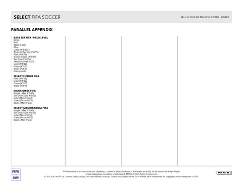 Panini Select FIFA 2024/25 - Hobby Box