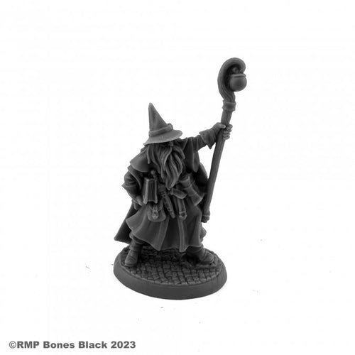 Reaper Bones Black: Luwin Phost, Wizard