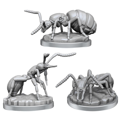 Wizkids: Deep Cuts - Giant Ants