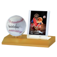 Ultra PRO Baseball & Card Light Wood Holder