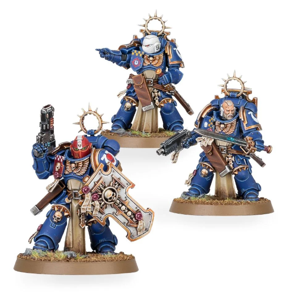 Warhammer 40k: Space Marine  - Bladeguard Veterans