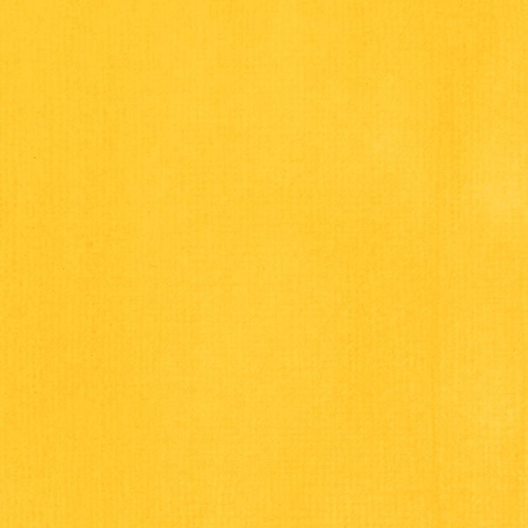 Liquitex Acrylic Ink - Cadmium Yellow Light Hue 30ml