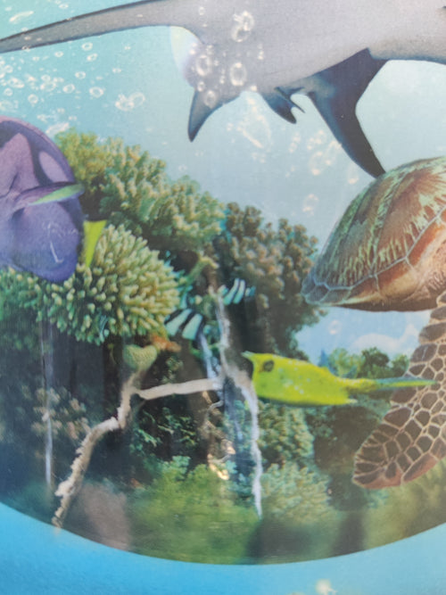 (Beskadiget) Ark Nova: Marine Worlds (Exp) (Eng)