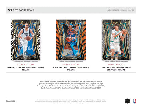 Panini Select Basketball 2024/25 - Blaster Box