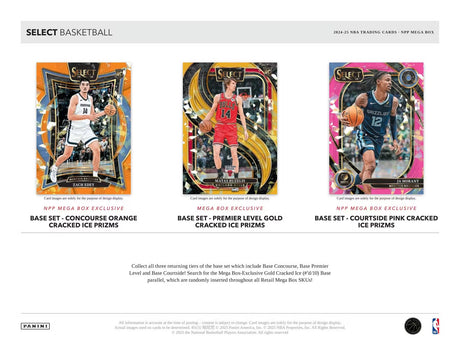Panini Select Basketball 2024/25 - Mega Box