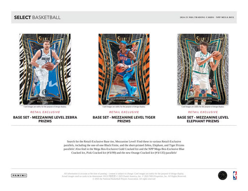 Panini Select Basketball 2024/25 - Mega Box