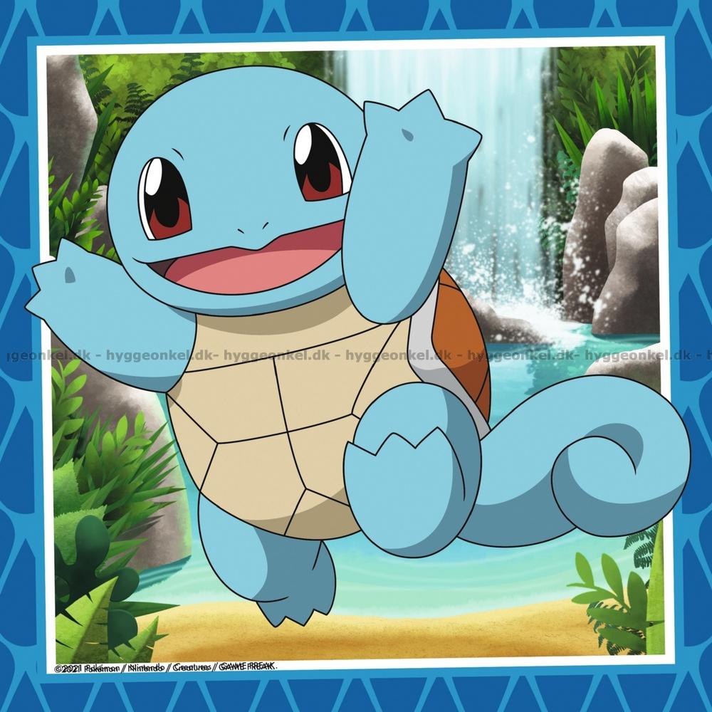 Pokemon 3x49 (Puslespil)