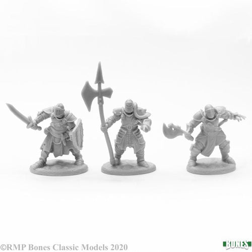 Reaper Bones: Knights of the Realm