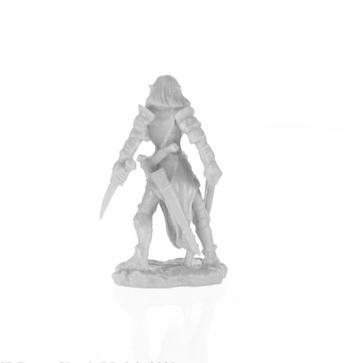 Reaper Bones: Half-Elf Rogue - Shardis