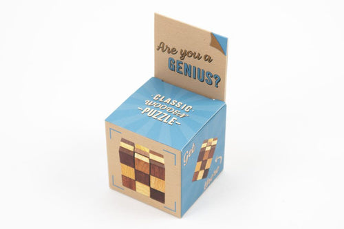 Are You A Genius? Classic Wooden Puzzle