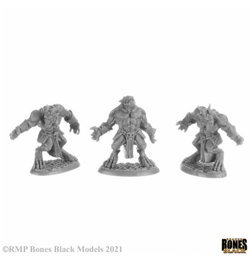 Reaper Bones Black - Blood Demons Boxed Set