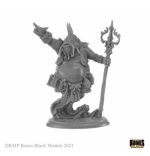 Reaper Bones Black - Elemental Scions Boxed Set