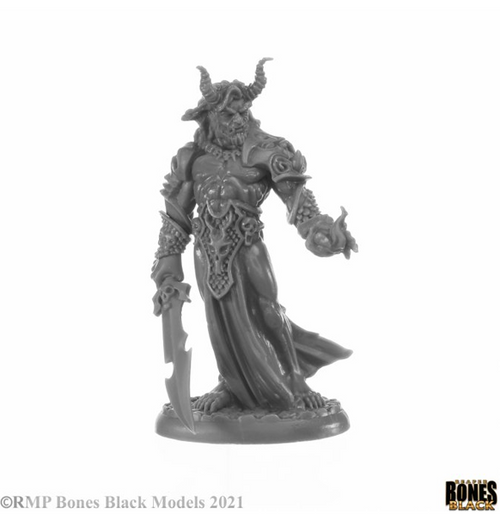 Reaper Bones Black - Elemental Scions Boxed Set