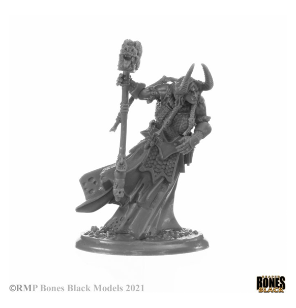 Reaper Bones Black - Elemental Scions Boxed Set