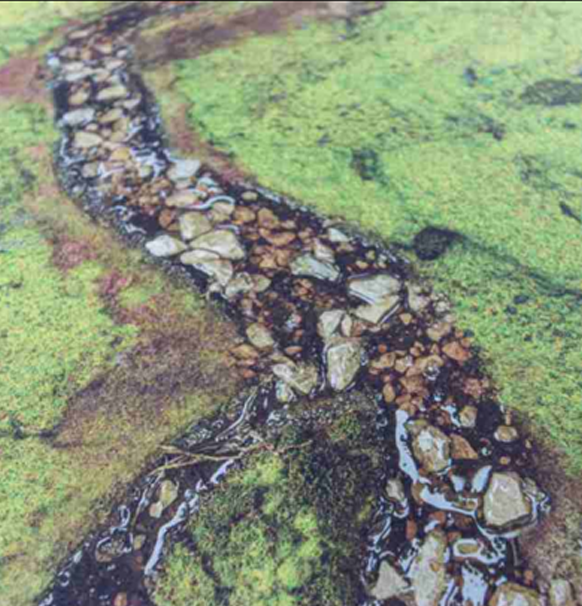 Kraken Wargames Gaming Mat - River Valley 44x60