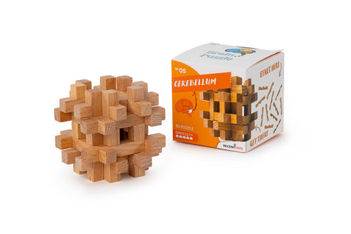 Brain Puzzle #5 - Cerebellum