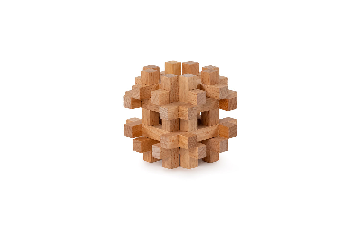 Brain Puzzle #5 - Cerebellum
