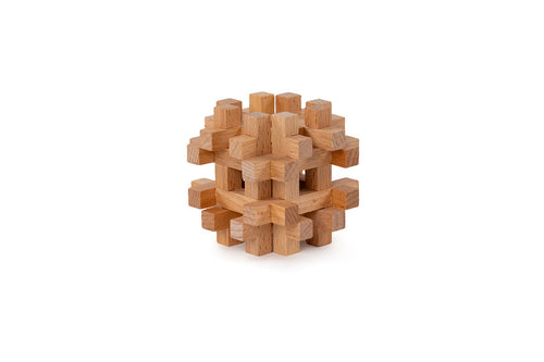 Brain Puzzle #5 - Cerebellum