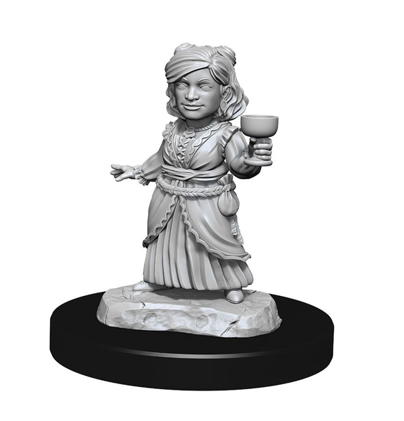 Nolzur's Marvelous Miniatures - Silver Dragon Wyrmling & Female Halfling