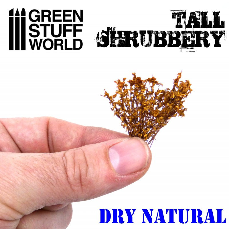 Tall Shrubbery Dry Natural