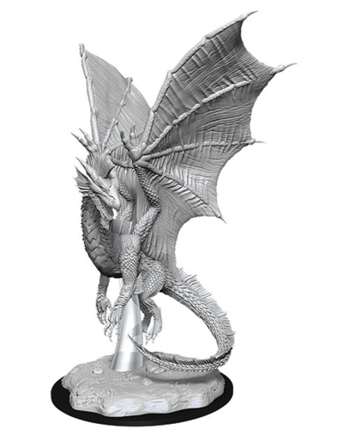 Nolzur's Marvelous Miniatures - Young Silver Dragon