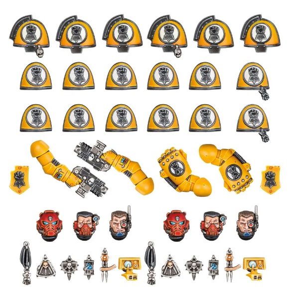 Imperial Fists - Primaris Upgrades and Transfers
