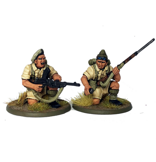 Bolt Action: British Commonwealth Infantry indhold