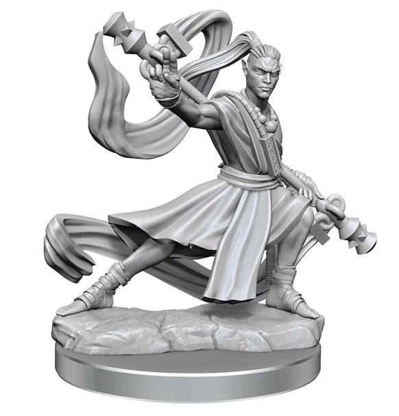 D&D: Frameworks - Elf Monk Male indhold