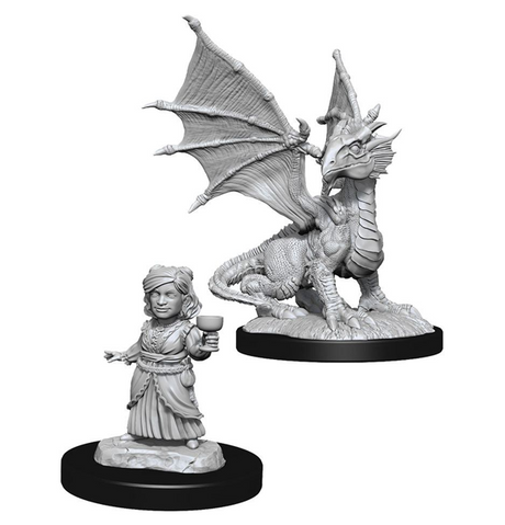 Nolzur's Marvelous Miniatures: Silver Dragon Wyrmling & Female Halfling